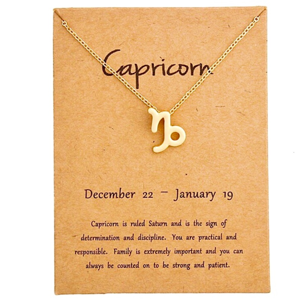 Minimalist Zodiac Sign Minimalist Charm Necklace - Picture 7 of 16